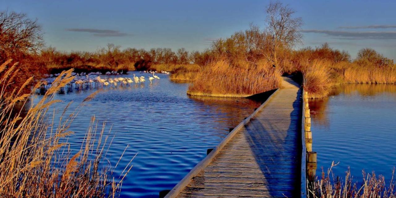 Вілла Joli Mazet Provencal De Camargue Арль Екстер'єр фото